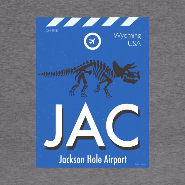 JAC airport Jackson Hole by Woohoo